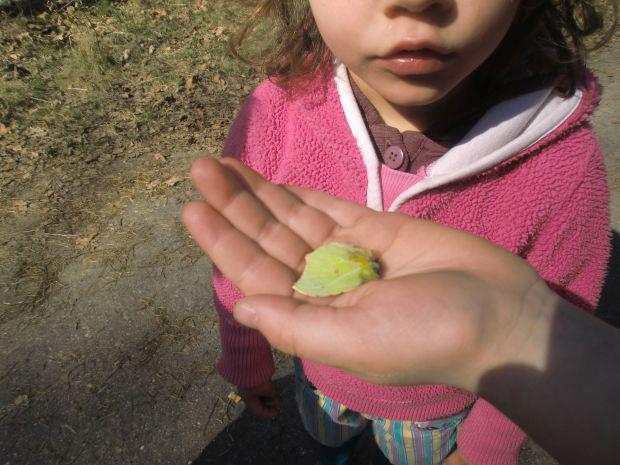 Eine Person streckt die Hand vor eine kleine Mädchen, auf deren Hand sitzt ein gelbes Schmetterling